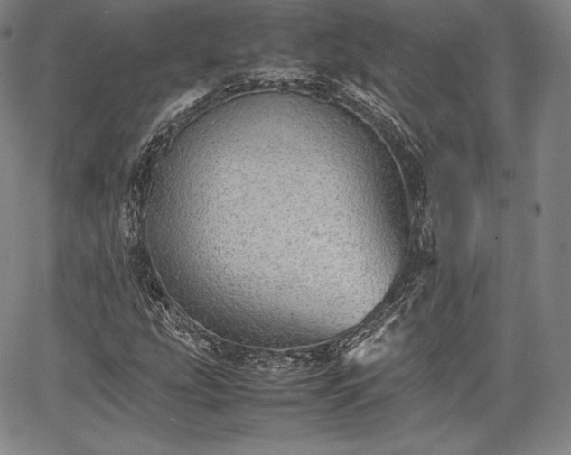 X0000067871207200604201209