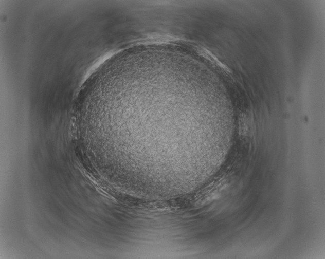 X0000067871208200604201209