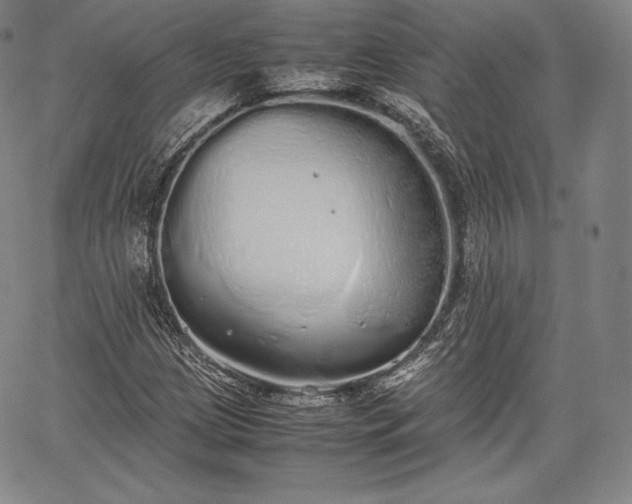 X0000067871209200604201209