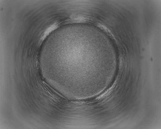 X0000067871210200604201209