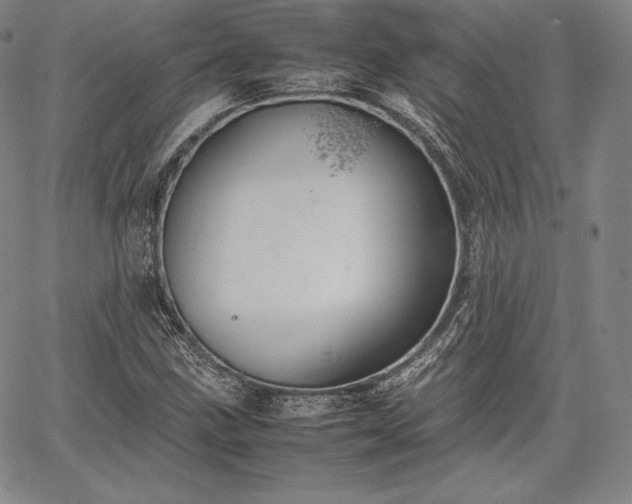 X0000067871211200604201209