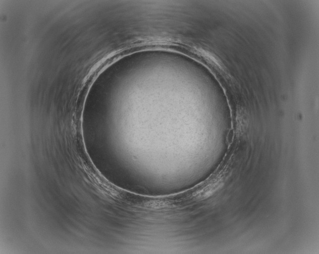 X0000067871212200604201209