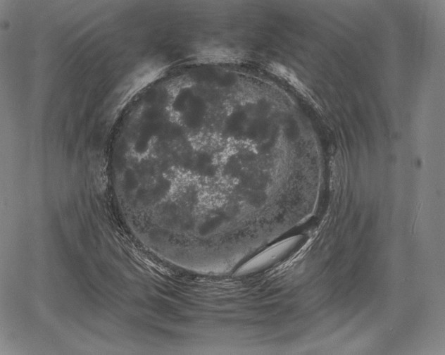 X0000067871213200604201209