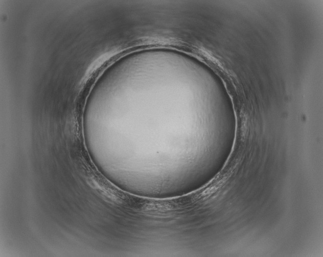 X0000067871215200604201209