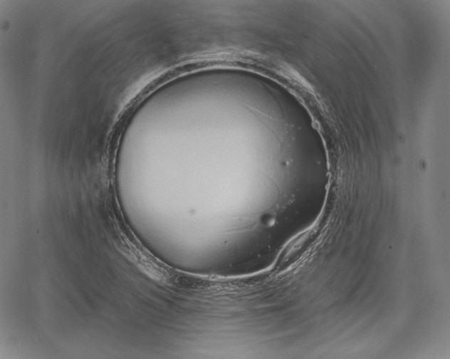 X0000067871216200604201209