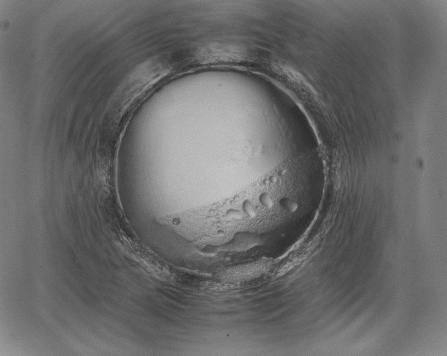 X0000067871217200604201209