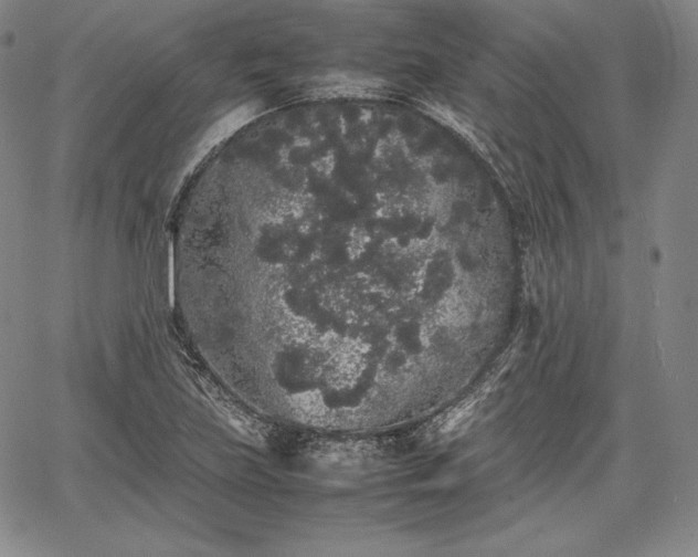 X0000067871219200604201209