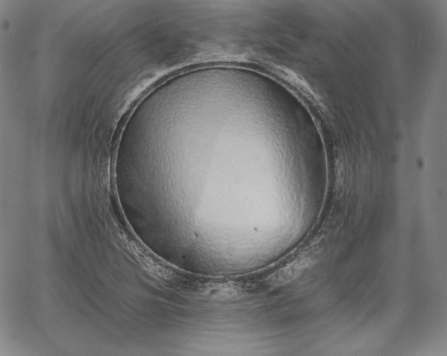 X0000067871220200604201209