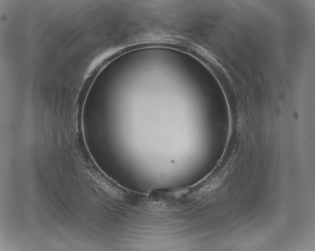 X0000067871222200604201209