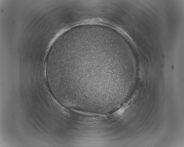 X0000067871224200604201209