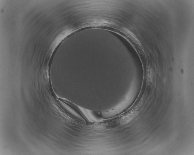 X0000067871226200604201209