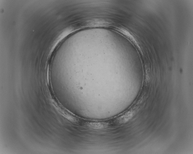 X0000067871227200604201209