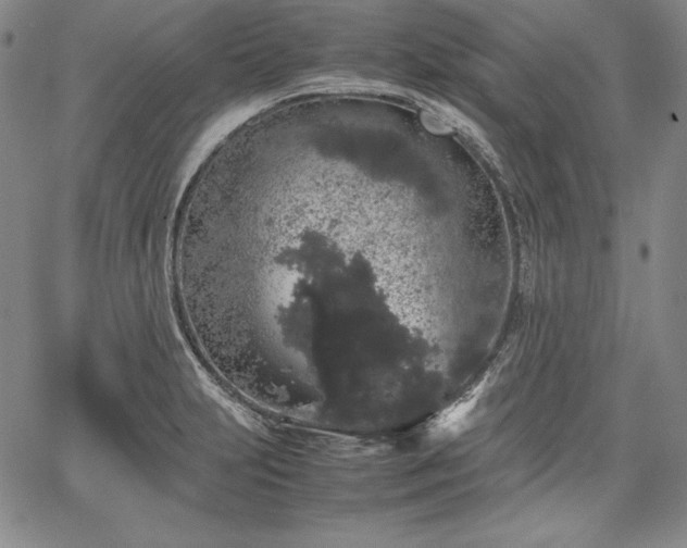 X0000067871231200604201209