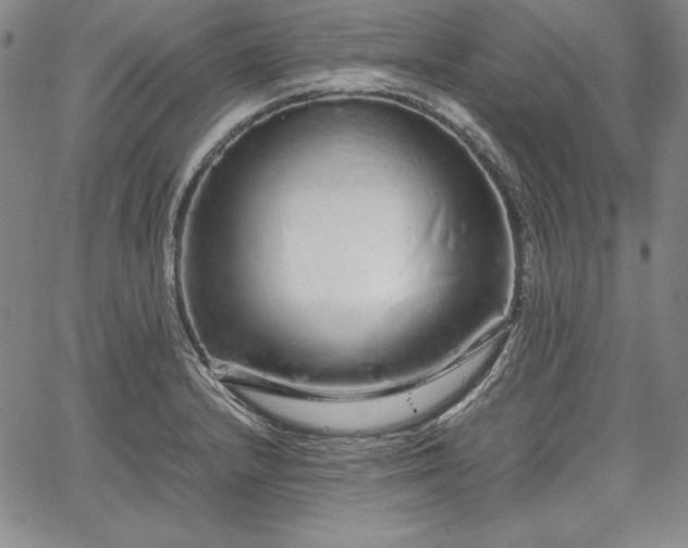 X0000067871232200604201209