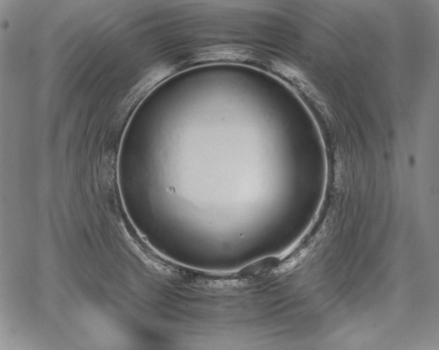 X0000067871233200604201209