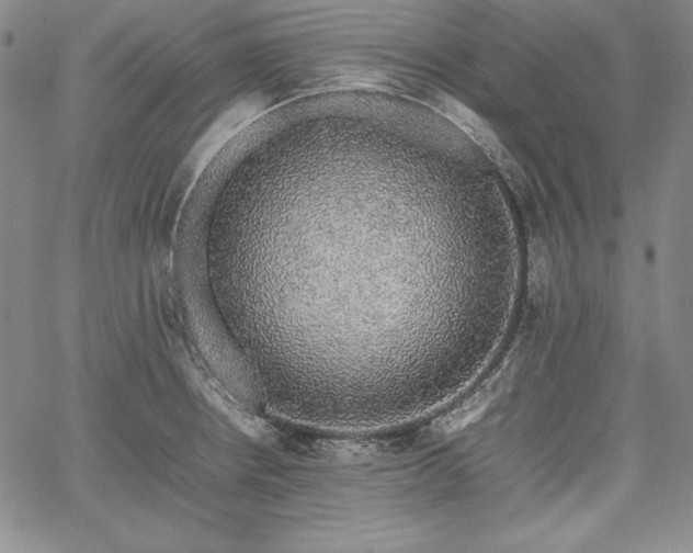 X0000067871234200604201209