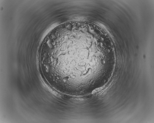 X0000067871235200604201209