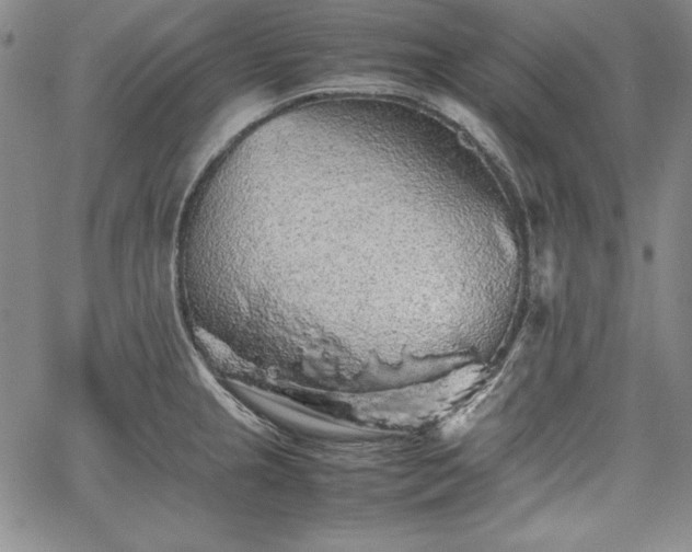 X0000067871237200604201210