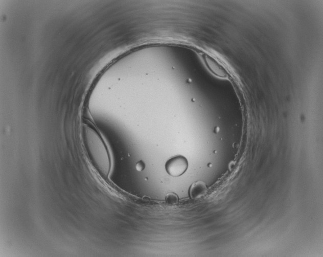 X0000067871238200604201210