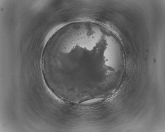 X0000067871239200604201210