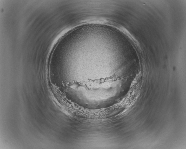 X0000067871240200604201210