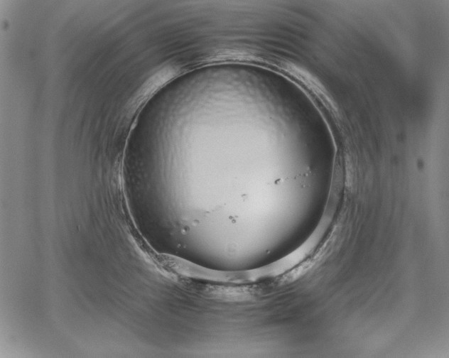 X0000067871241200604201210