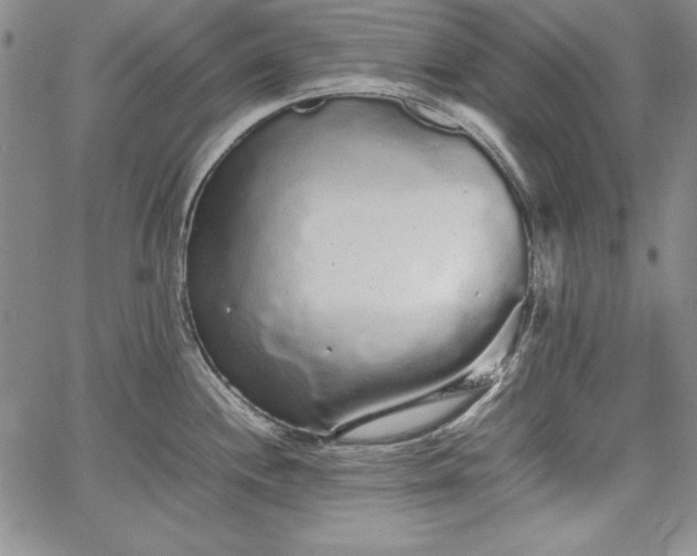 X0000067871244200604201210