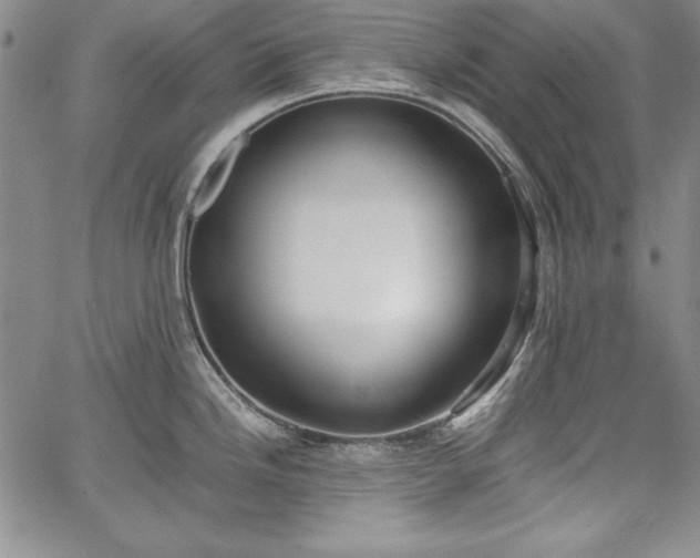 X0000067871246200604201210