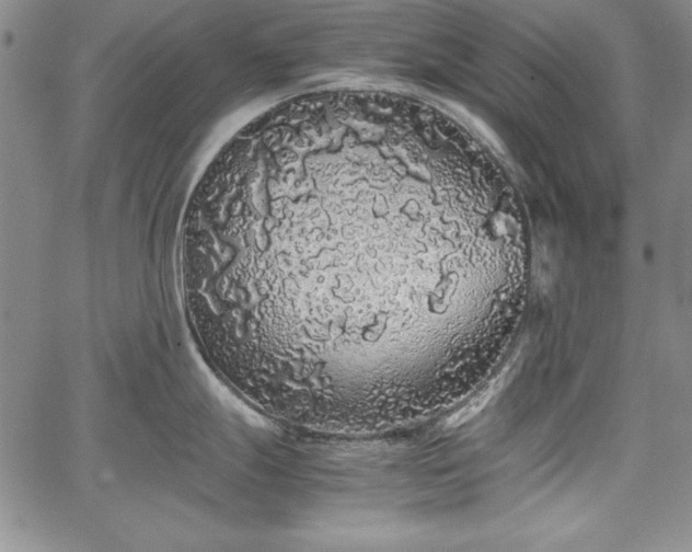 X0000067871247200604201210