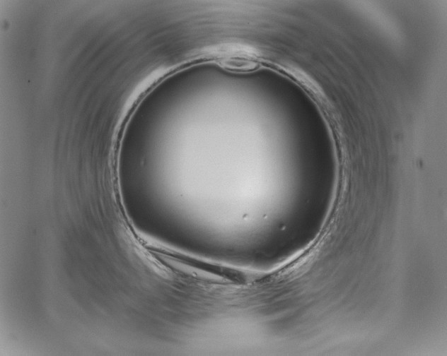 X0000067871248200604201210