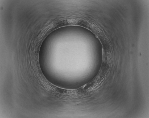 X0000067871249200604201209