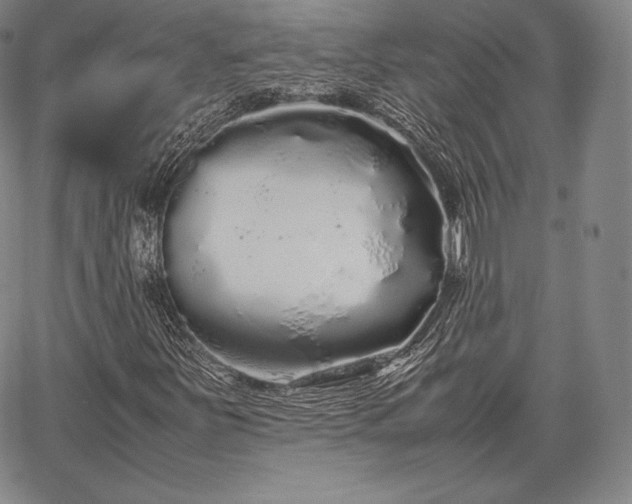 X0000067871251200604201209