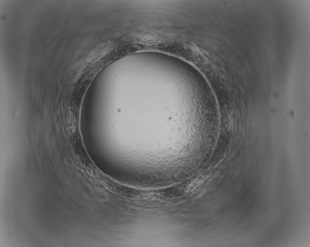 X0000067871253200604201209