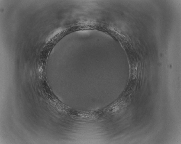 X0000067871254200604201209