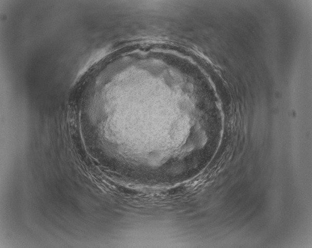 X0000067871255200604201209