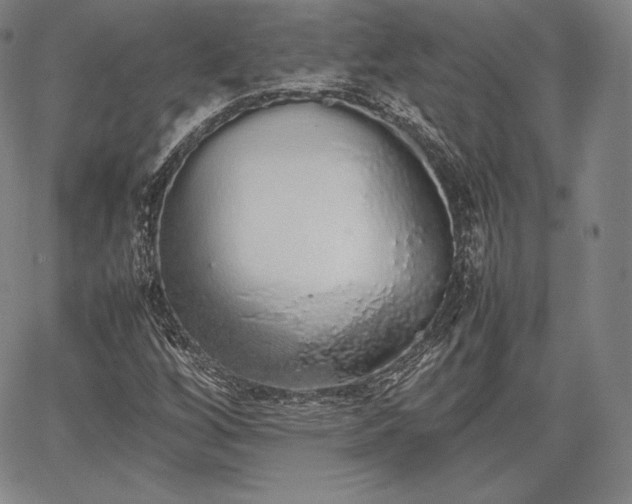 X0000067871256200604201209