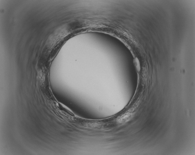 X0000067871257200604201209