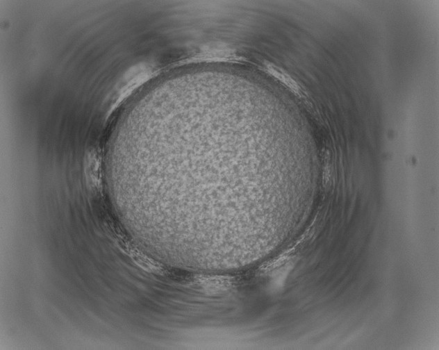 X0000067871258200604201209