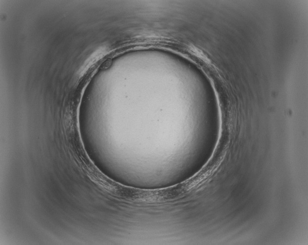 X0000067871259200604201209