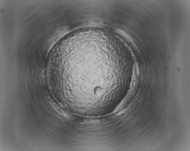 X0000067871260200604201209