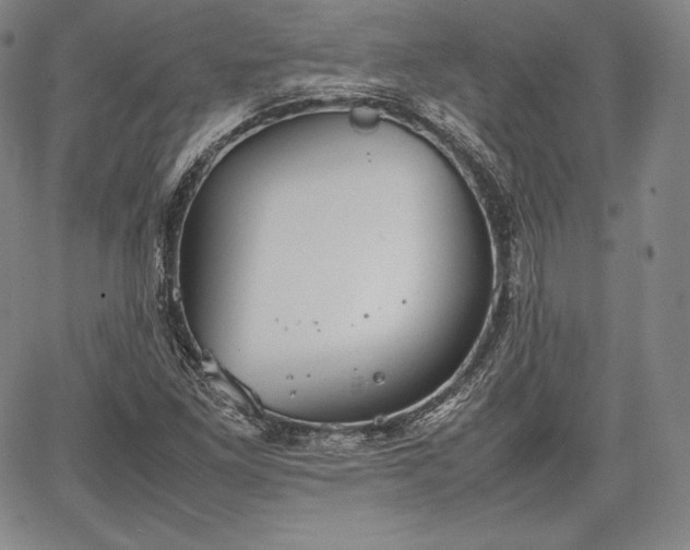 X0000067871261200604201209