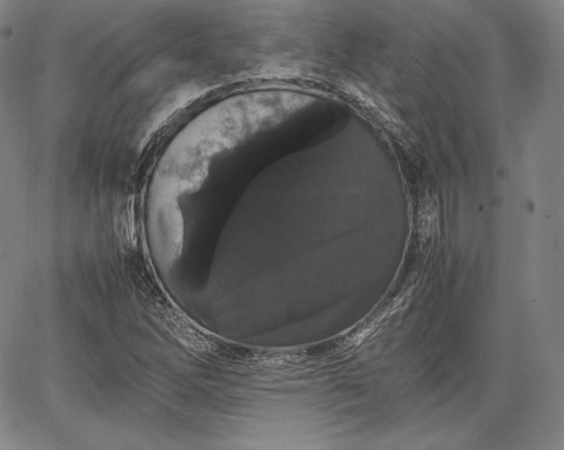 X0000067871262200604201209