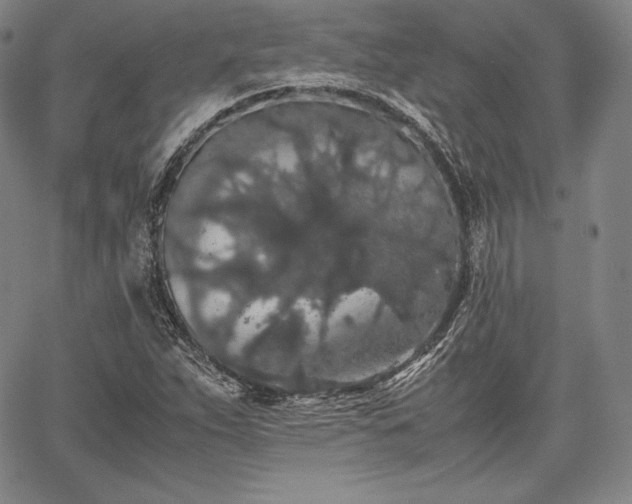 X0000067871263200604201209