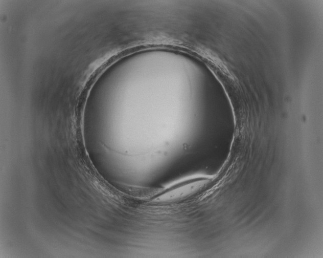 X0000067871264200604201209