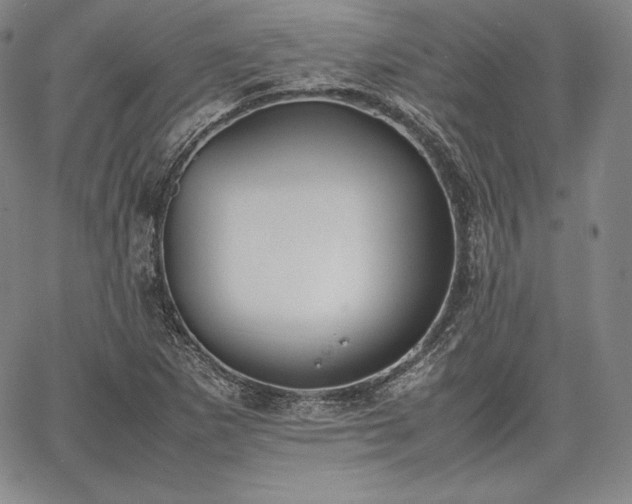 X0000067871265200604201209