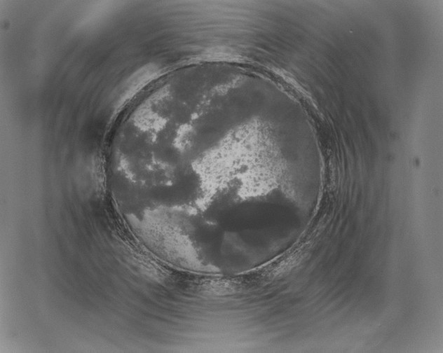 X0000067871266200604201209