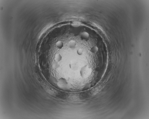 X0000067871267200604201209