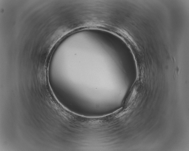 X0000067871268200604201209