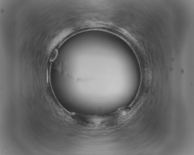 X0000067871269200604201209