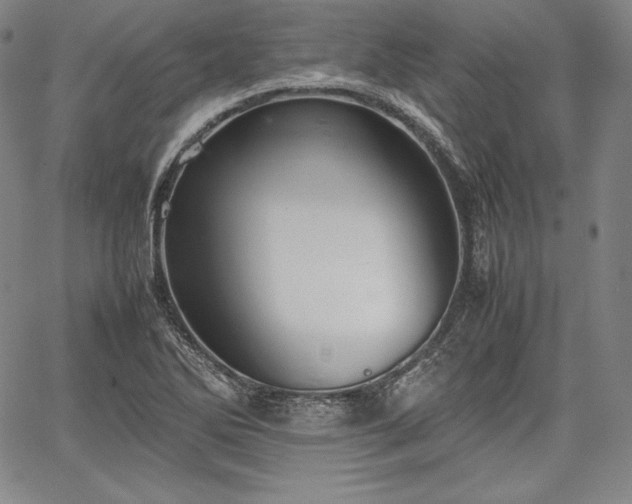 X0000067871270200604201209